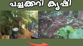 Farming  Grow Fresh പച്ചക്കറി കൃഷി#newLove your natural
