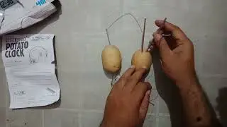 Potato Clock Science Experiment