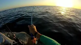 Pesca de jigging en kayak (TEAM HOBIE) (Cibuco) (Vega Baja) (Puerto Rico)