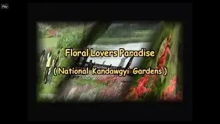 Floral Lovers Paradise