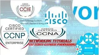 What is CEF (Cisco Express Forwarding) | Process Switching vs Fast Switching vs CEF | Tables in CEF