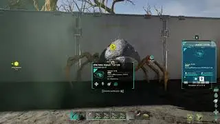 ARK  Survival Ascended   Taming new Friends for Beta Drop Project - The Araneo