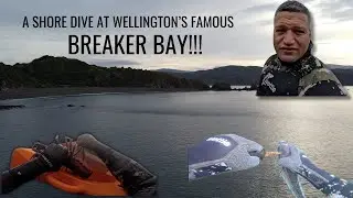 DIVING WELLINGTON'S FAMOUS-BREAKER BAY