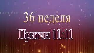 Притчи 