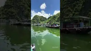Floating Village A Must Visit #vietnam | #southeastasia #travel #shorts