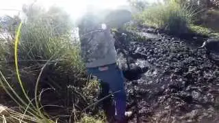 GoPro Florida hog hunt spear kill (full video)