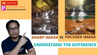 HOW TO ACHIEVE SHARP AND FOCUSED IMAGES ? FOCUSED VS SHARP IMAGE -EXPLAINED