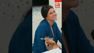 شنو كنتو كتقولو باش تسلتو ؟ 😂