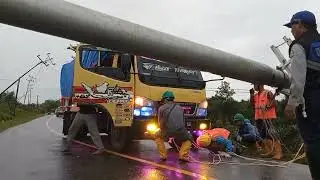 Tiang Kabel PLN Tumbang Akibat di Timpa Pohon Besar