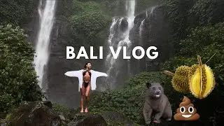 ВЛОГ ИЗ БАЛИ. ВОДОПАДЫ СЕКУМПУЛ. КОФЕ ИЗ КАКАШЕК. ДУРИАН-ВОНЮЧКА 😍