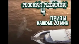 РР4 | Море, море.... | Ловим рыбу мечты