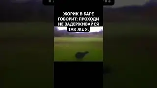 Знакомая ситуация любого сталкера в баре 100 рентген 