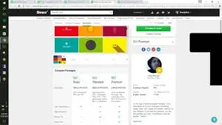 MP4 480p Fiverr complete training in urdu  hindi