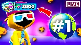 ЭТА ИМБА УЖЕ В ИГРЕ! 😨 ПУШ ТОП 1 МИРА НА ШЕЙДЕ! 🏆