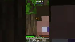 Minecraft shorts #shorts #minecraft