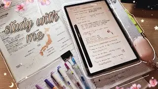 My notes management 🌺 Study with me  | Galaxy Tab S7 | Chill music
