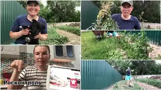 ЖЕНА Трава убираться, Росконтроль. Глухих новости. Deaf news.