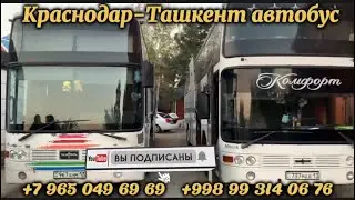 Краснодар Ташкент автобус 