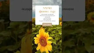Фитнес тур на Горный Алтай 17-20 августа 2023 года с PranaFit.ru