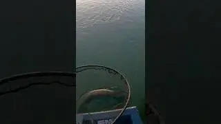 16 сентября 2024 г.