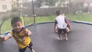 Backyard trampoline