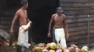 lagu bugis || pallangkoe-channel beleng