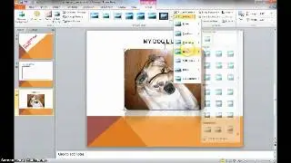 Screencast PPT tutorial