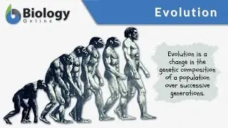 Theory of Evolution in Ifa .