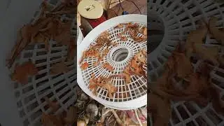 прикольные яблочные чипсы