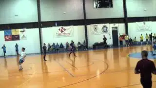 carvalhal feminino