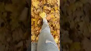 Осень