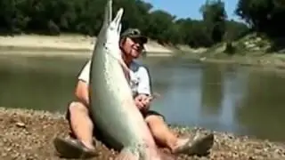 Ловля Аллигаторной  щуки