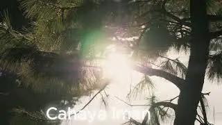 Cahaya Iman Untuk Seorang Muslim