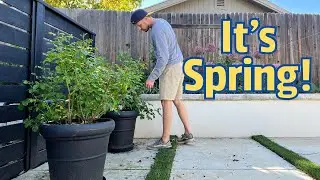 Spring is Finally Here - Garden Update