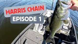 Learning How to Fish The Harris Chain - Episode 1