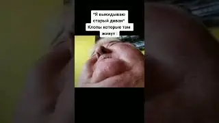 Клопы под диваном 