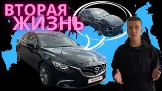 ТОТАЛ ИЗ АМЕРИКИ. Вторая жизнь в России.