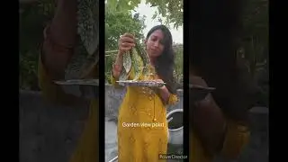 Organic vegetable of my terrace garden/ #ytshorts #gardentips #gardenviewpoint