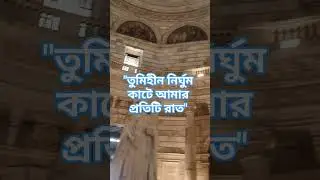 তোমার রেখে যাওয়া প্রতিটি স্মৃতি আমাকে প্রতিটি রাতে কাঁদায়।#travelvlog #trendingshorts