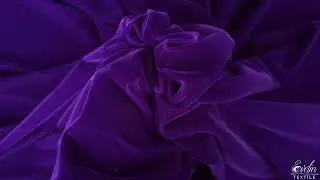Catifea ultraviolet Korea