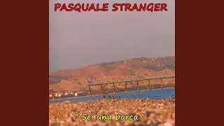 Sei una porca
