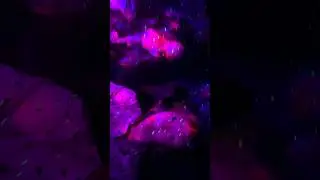 Ночёвка 🫣