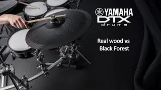 What colours can I get for the Yamaha DTX shells?