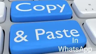 How to copy and paste the text messages in WhatsApp