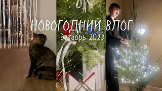 НОВОГОДНИЙ ВЛОГ❄️ уборка и украшение дома к празднику, упаковка подарков, выбор посуды в Максидоме