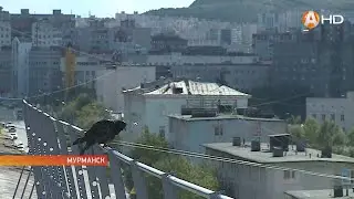 Встречаем День строителя на высоте птичьего полёта