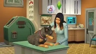 The Sims 4 Cats & Dogs Vet Clinic Speed Build Pt 1 mp4