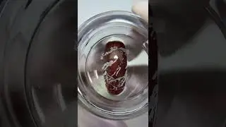 Легкий осенний дизайн со стемпингом Blesk