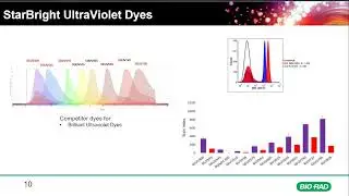Build Bigger, Better Panels with StarBright Dyes