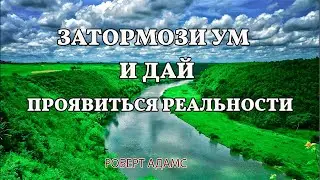 Затормози ум и дай проявиться реальности - Роберт Адамс